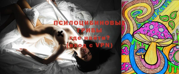 гидра Алексеевка