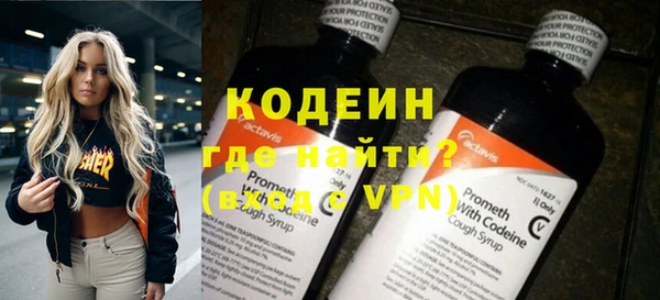 мдпв Гатчина