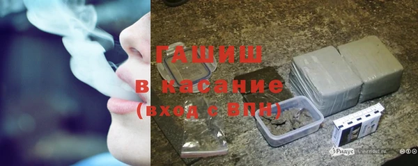 гидра Алексеевка