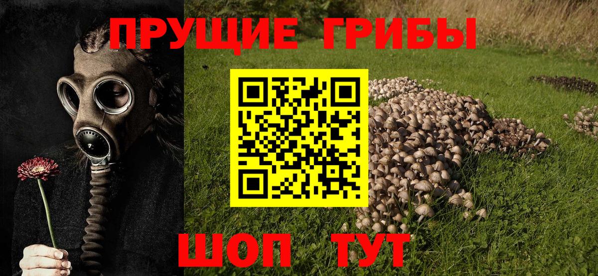 Псилоцибиновые грибы мухоморы  Вход с VPN  Полевской  Галлюциногенные грибы GOLDEN TEACHER 